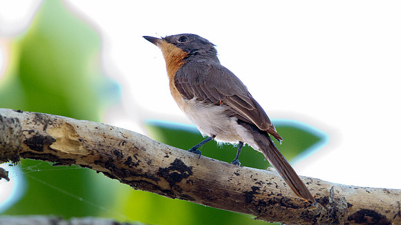 IMG_3535