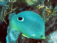 IMG_1704bi63