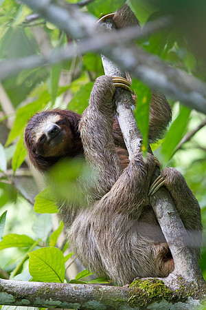 IMG_4611