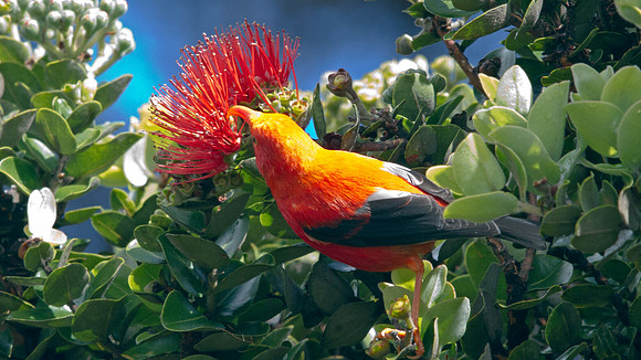 IMG_3264