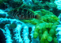 IMG_0670 copy