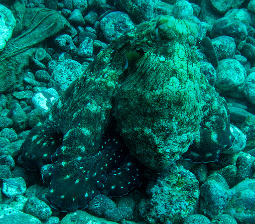 IMG_0657 copy