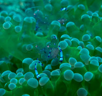 IMG_0618 copy
