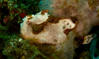 IMG_0630 copy