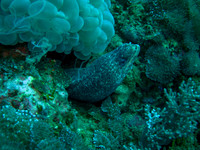 IMG_0609 copy