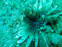 IMG_0611 copy