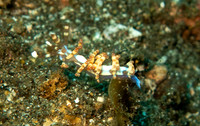 IMG_0734 copy
