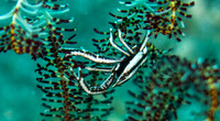 IMG_0708 copy