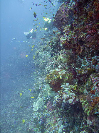 IMG_1001 copy