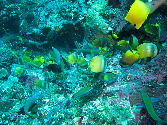 IMG_1015 copy