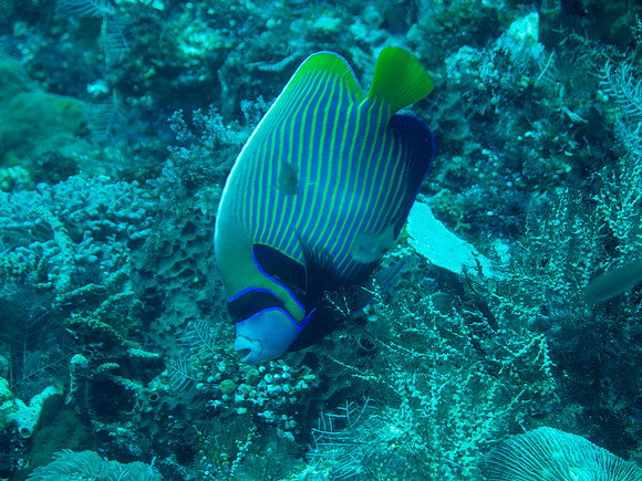 IMG_0960 copy