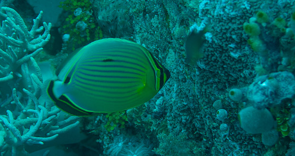 IMG_1466 copy