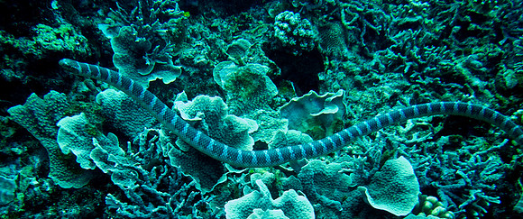 IMG_1567 copy