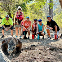 Tracking Komodo Dragons in Komodo Island National Park