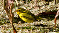 IMG_0761