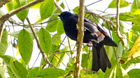 IMG_6204