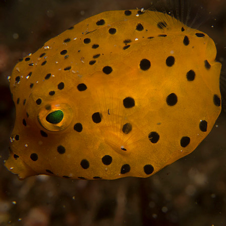 IMG_4348-1080-thumb