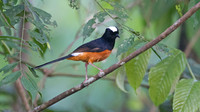 IMG_7344-full