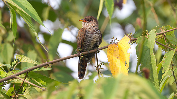 IMG_7420-full
