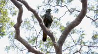 IMG_7573-full