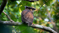 IMG_7895-full
