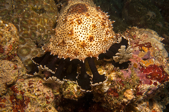 IMG_7060