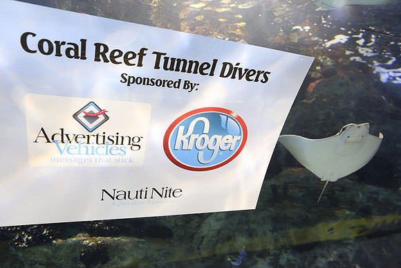 1Y1A4876
