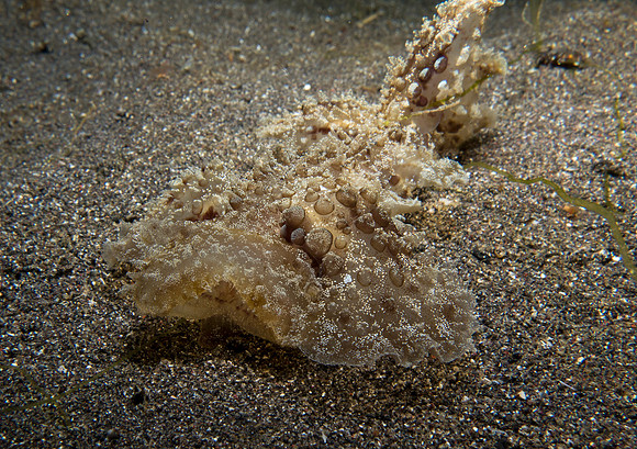 IMG_5820