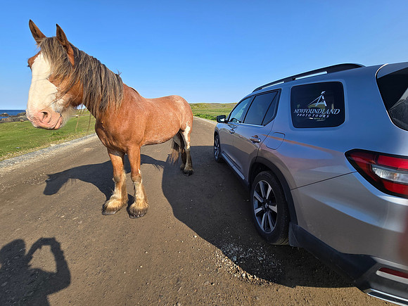 20260726_171755