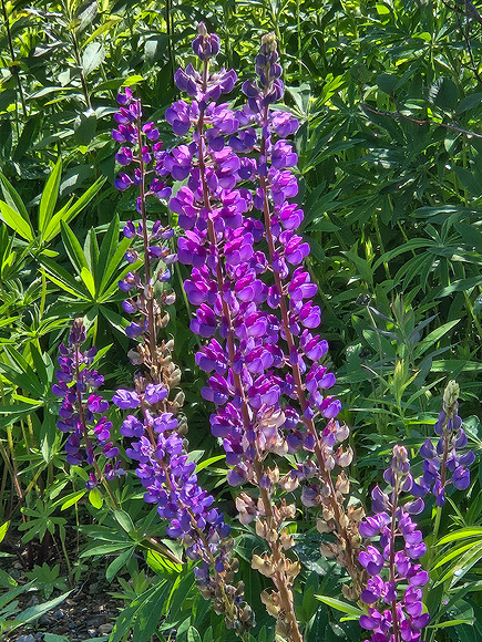 20260725_111120