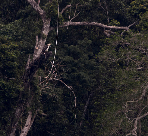 9V3A7843
