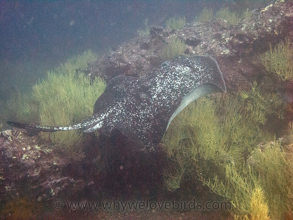 IMG_1964