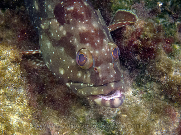 IMG_2088