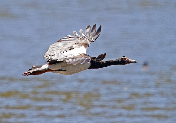 IMG_1000