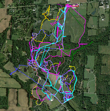 12-19-15 Longhill hounds-huntsman-riding whips only