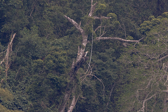 9V3A7843-1080