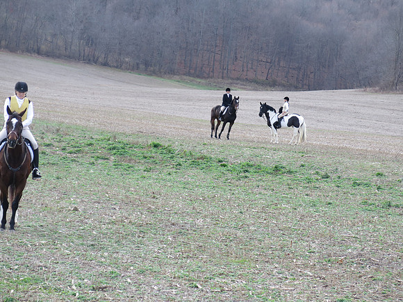 IMG_2491