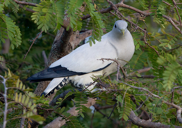 IMG_6557