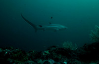 IMG_9086