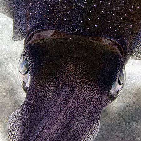 IMG_4280-thumb