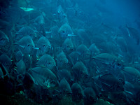 IMG_8202-1080
