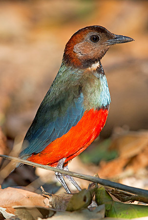 1Y1A4470