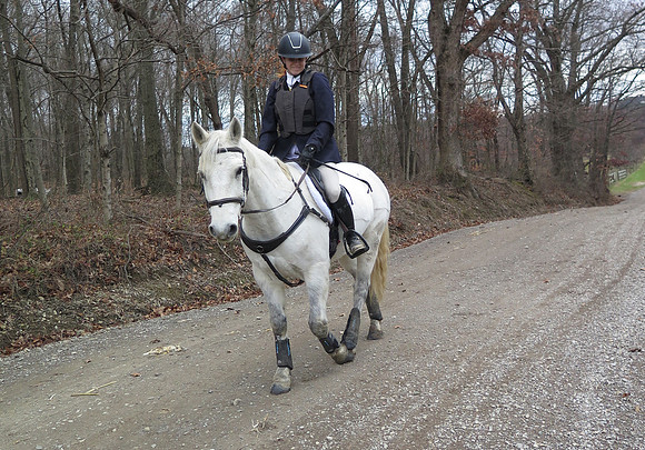 IMG_9937
