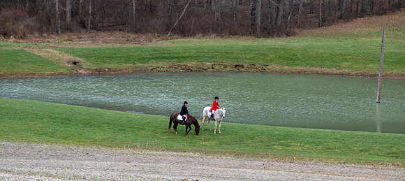 IMG_9986 copy