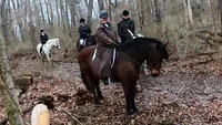 vlcsnap-2022-03-20-19h56m03s980 copy