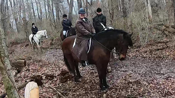 vlcsnap-2022-03-20-19h56m03s980 copy