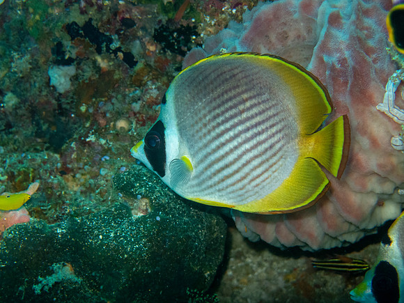 IMG_3820