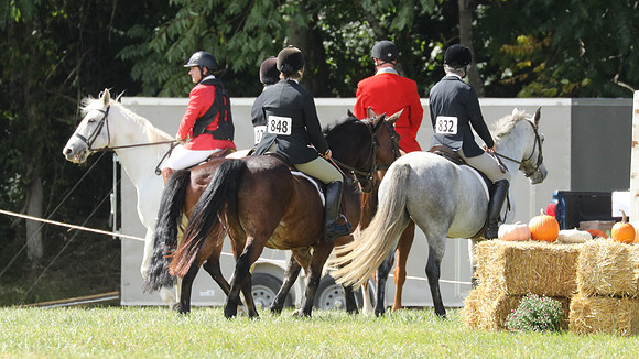 3Q2A7369