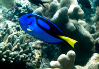 IMG_3410-1080