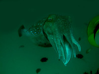 IMG_2536-1080